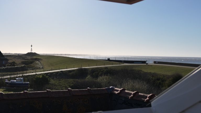 Ausblick Ausblick